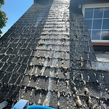 WSU-Fraternity-House-Wash-Roof-Wash-and-Gutter-Clean-Out 3